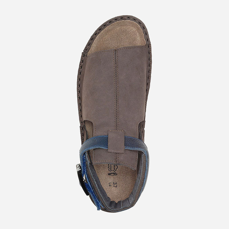 Verbena Blue
